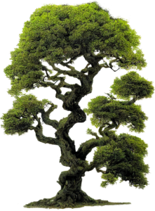 Wing Chun dummy parts