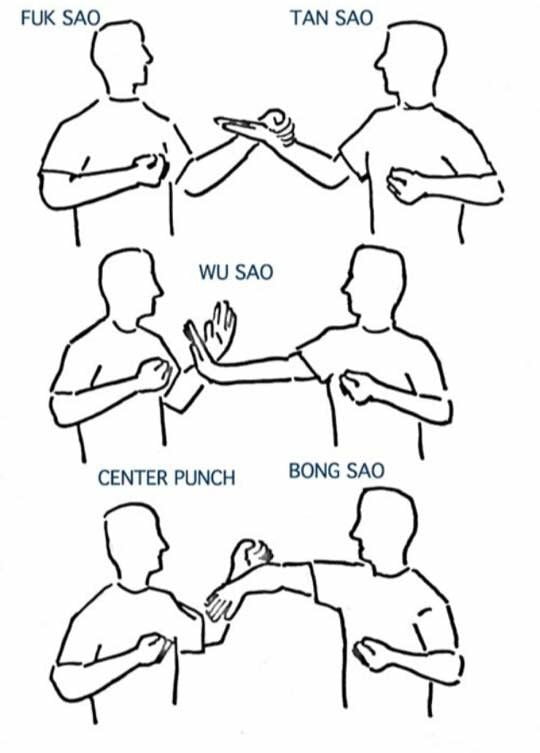 Wing Chun dummy punch speed