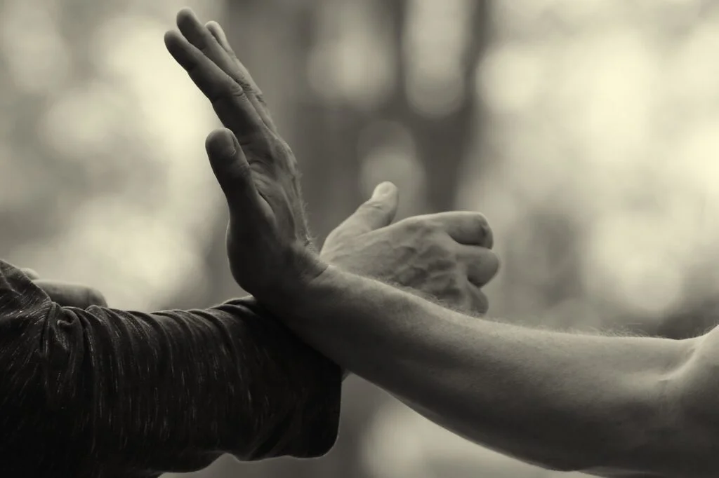 Top 10 moves of Wing Chun