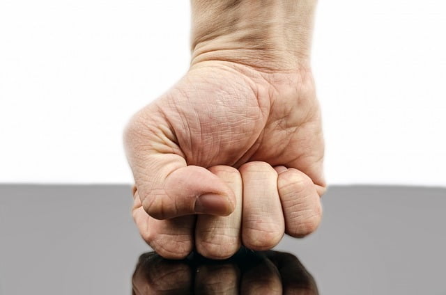 Wing Chun dummy punch