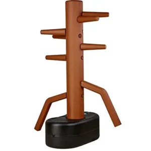 How to self-teach Wing Chun