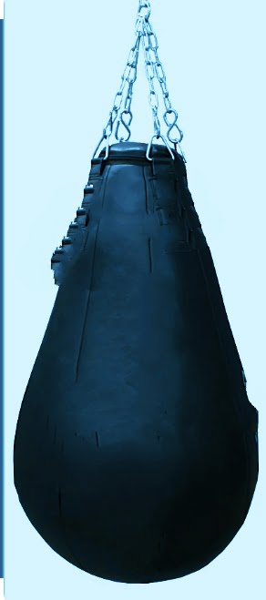Punching Bags for Stress