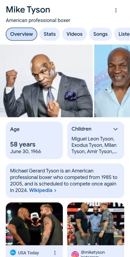 Punching martial arts