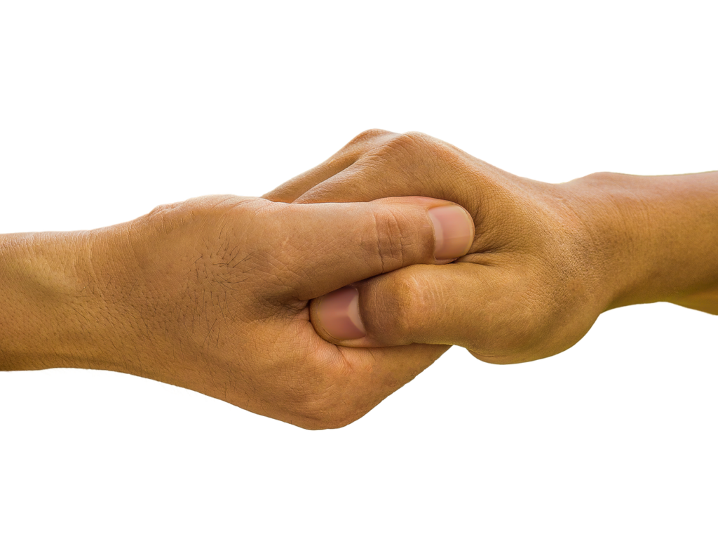 Fist Bumps in martial arts 