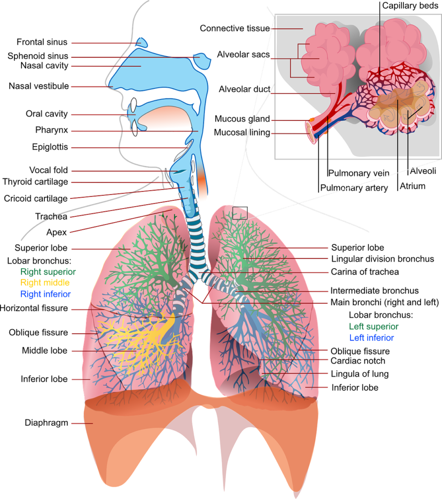 martial arts mental training