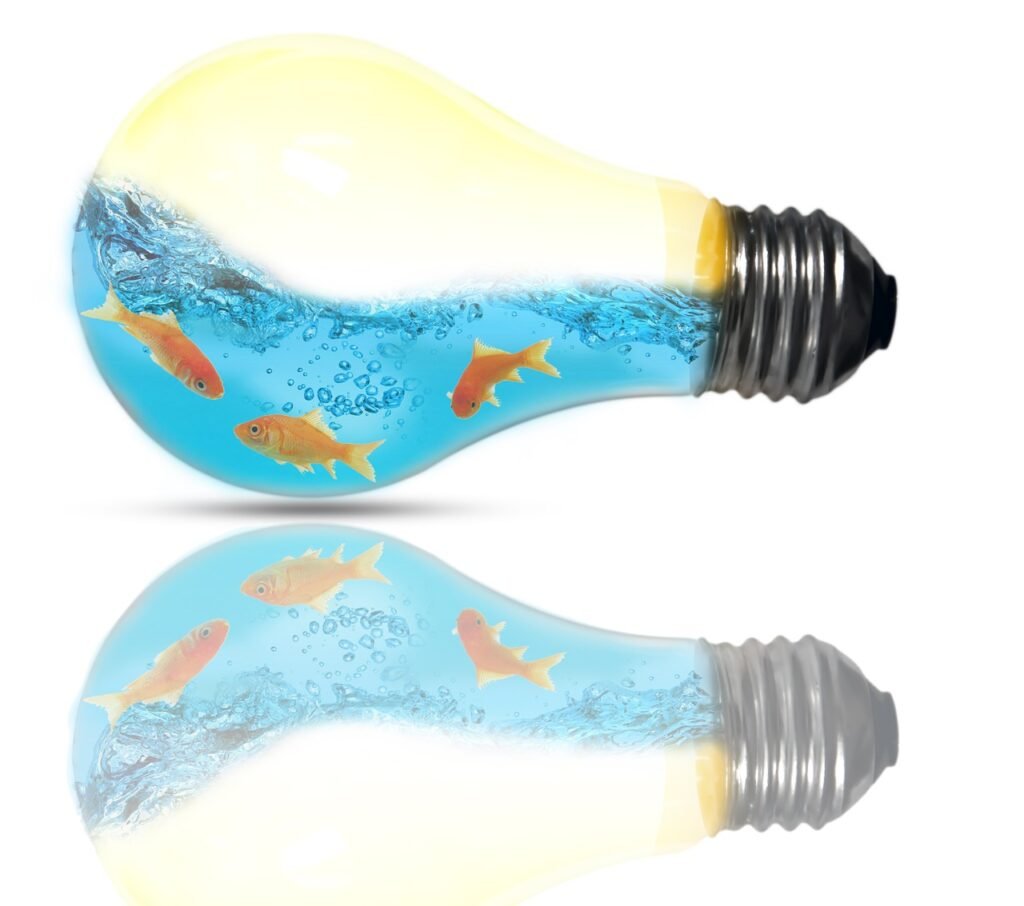 Wing Chun training tools