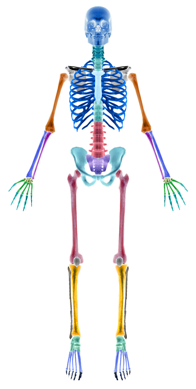 6 Gates in Wing Chun