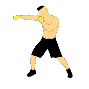 martial arts umpiring