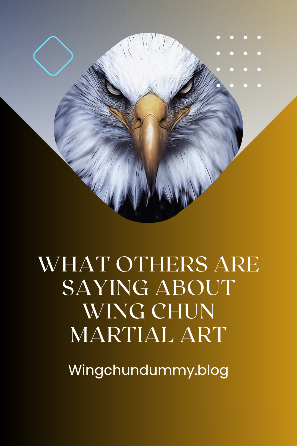 What others saying about wing Chun martial arts