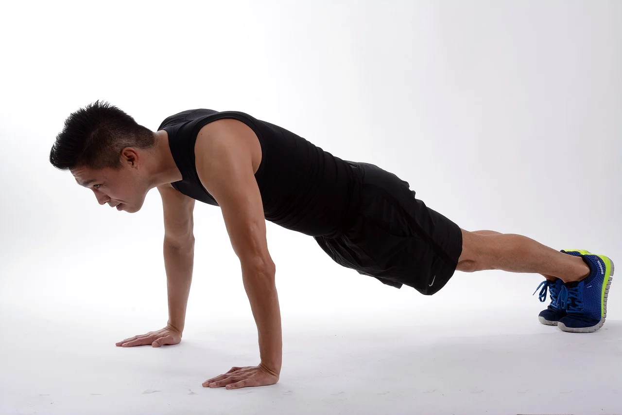 Beginners Martial Arts Guide