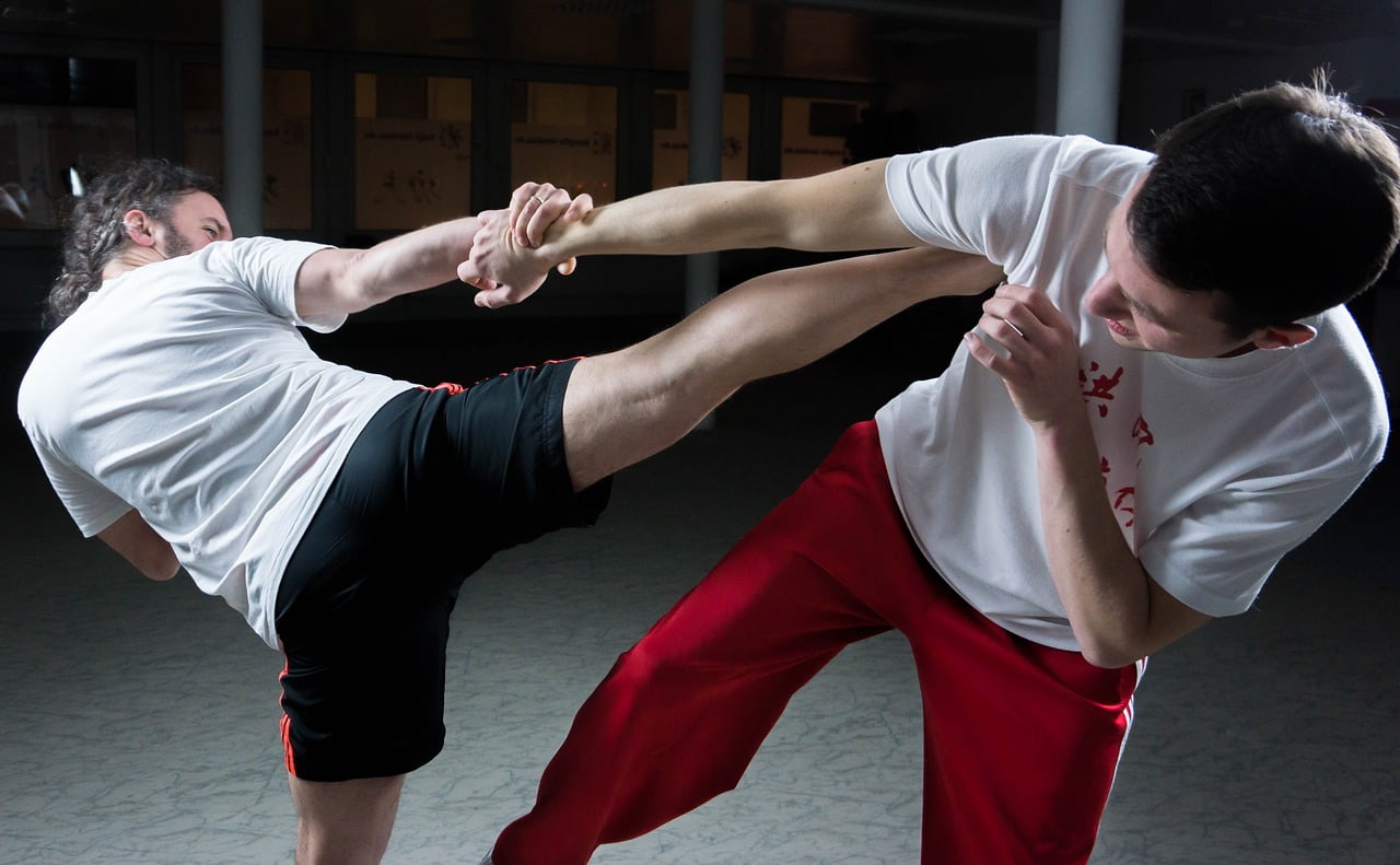 Wing Chun Championship, Wing Chun History