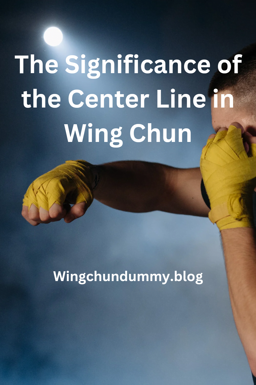 Center line,, advanced wing Chun dummy practice training 