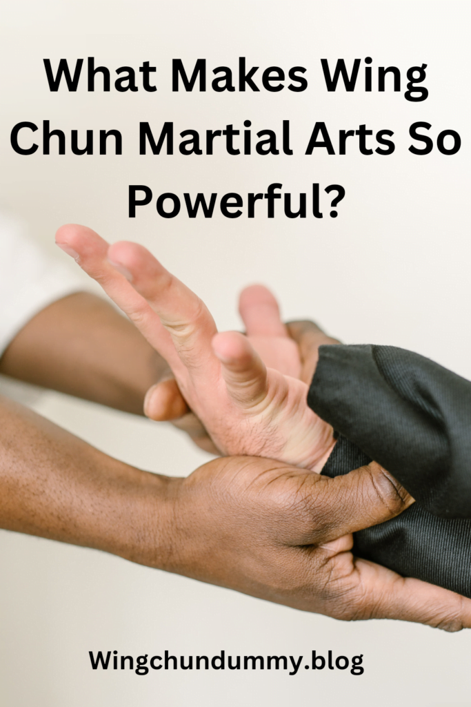 What makes wing Chun powerful