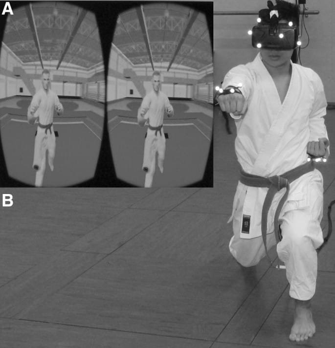 Affordable VR setups for martial arts